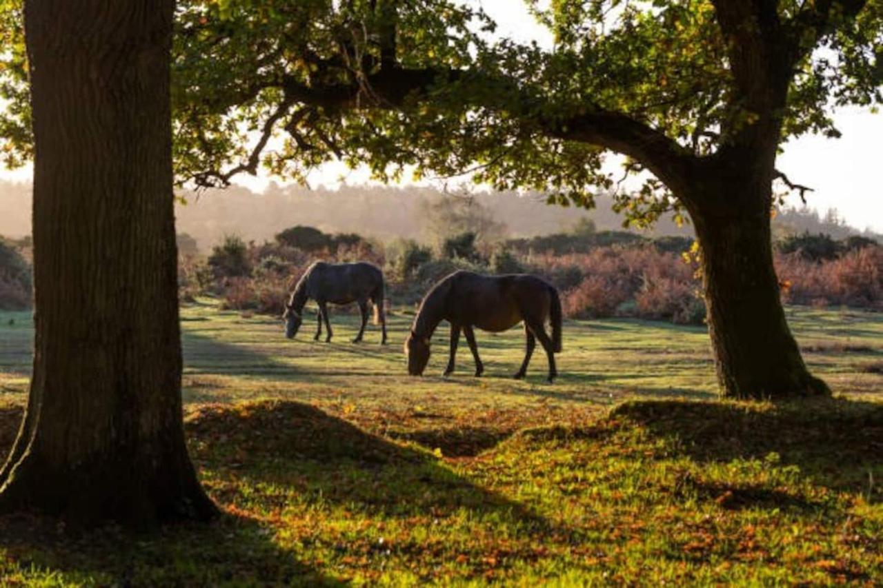 Heavenly Haven Ξενοδοχείο Lymington Εξωτερικό φωτογραφία